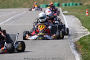 20110501_ales_agnus (2192)